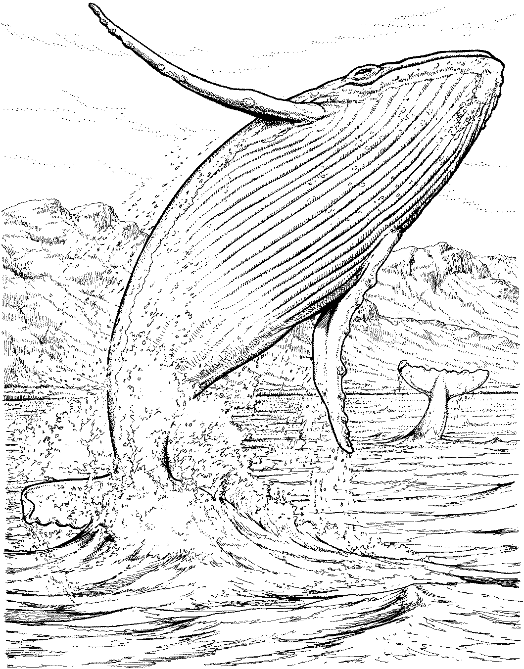 Coloring page: Marine Animals (Animals) #22209 - Free Printable Coloring Pages