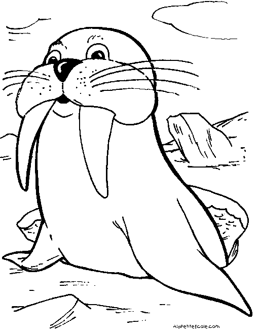 Coloring page: Marine Animals (Animals) #22225 - Free Printable Coloring Pages