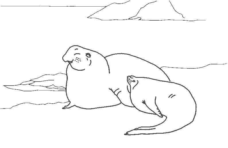Coloring page: Marine Animals (Animals) #22234 - Free Printable Coloring Pages