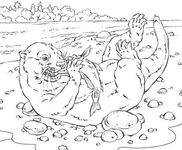 Coloring page: Marine Animals (Animals) #22236 - Free Printable Coloring Pages