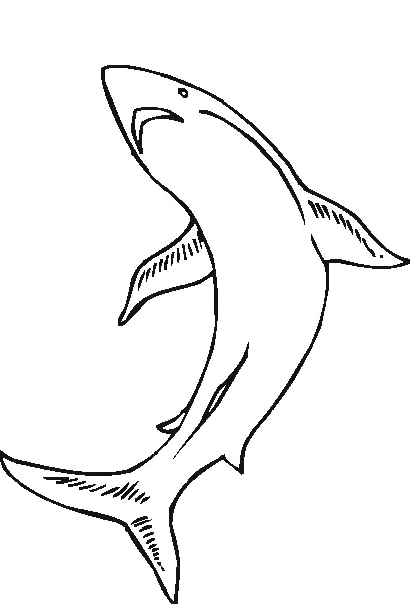 Coloring page: Marine Animals (Animals) #22255 - Free Printable Coloring Pages