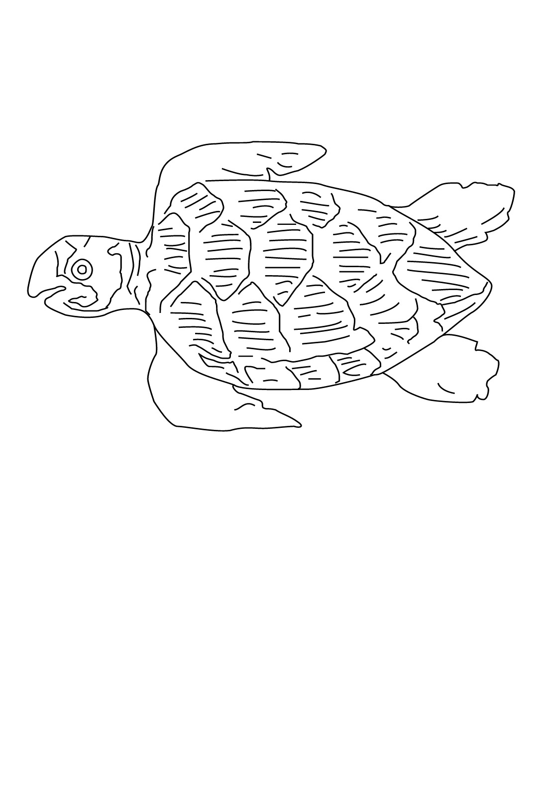 Coloring page: Marine Animals (Animals) #22263 - Free Printable Coloring Pages