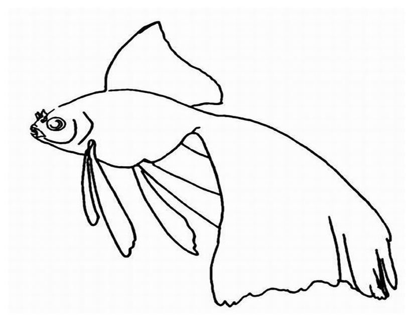 Coloring page: Marine Animals (Animals) #22264 - Free Printable Coloring Pages