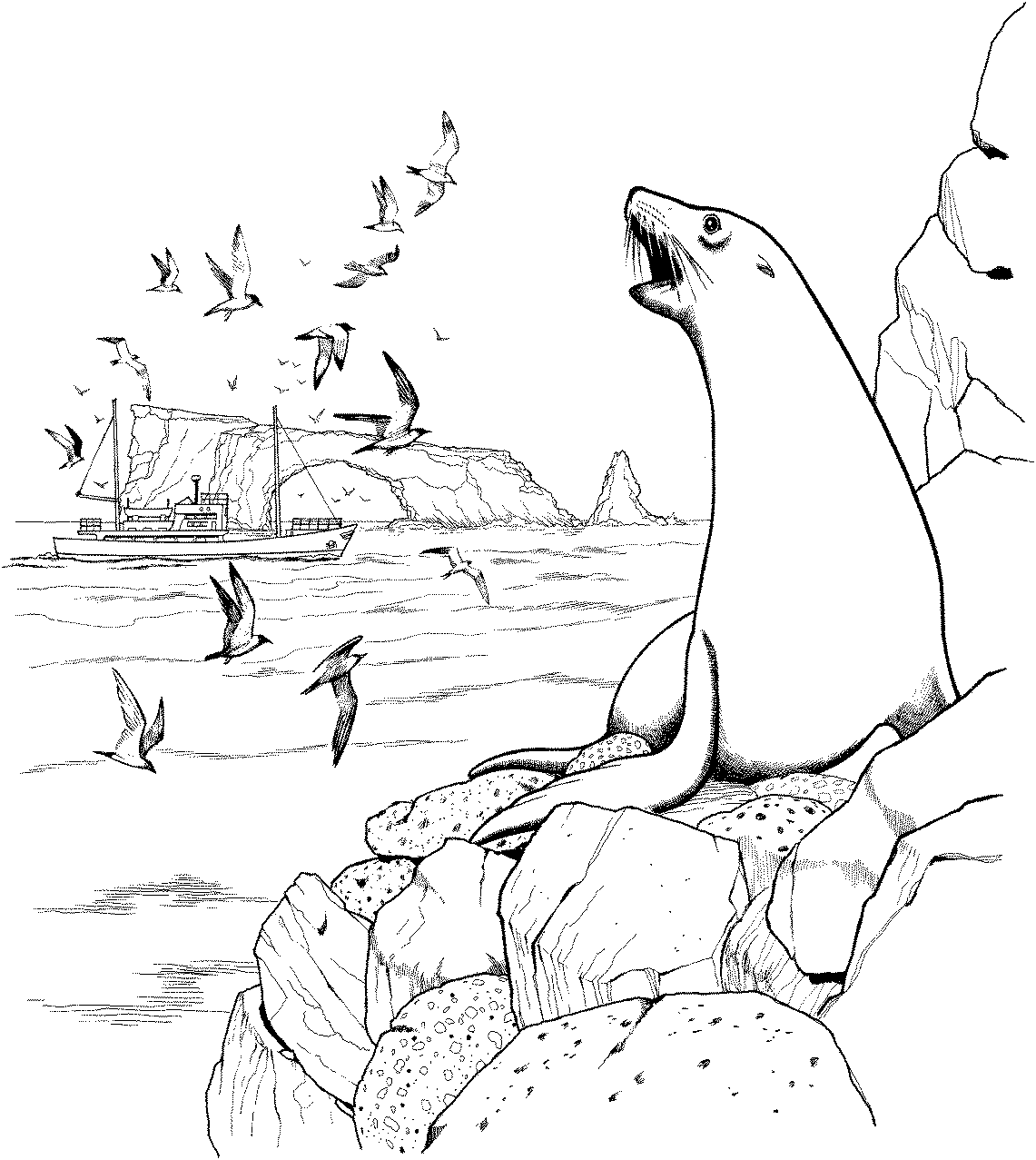 Coloring page: Marine Animals (Animals) #22278 - Free Printable Coloring Pages