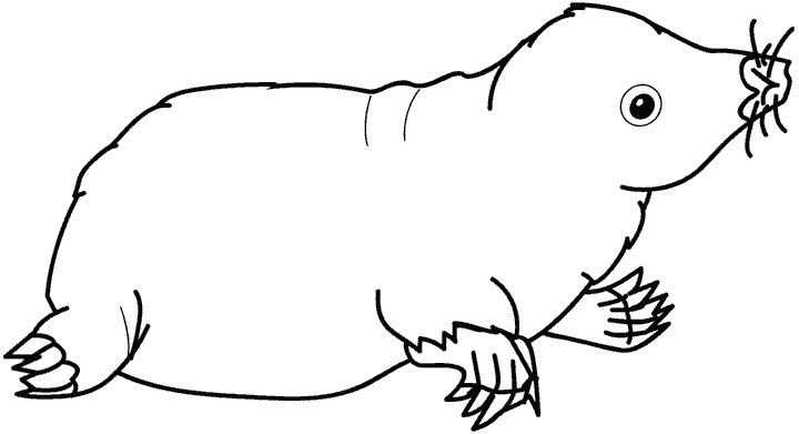 Coloring page: Mole rat (Animals) #19381 - Free Printable Coloring Pages