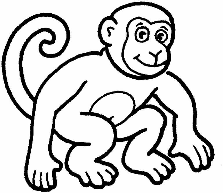 Drawing Monkey #14144 (Animals) – Printable coloring pages
