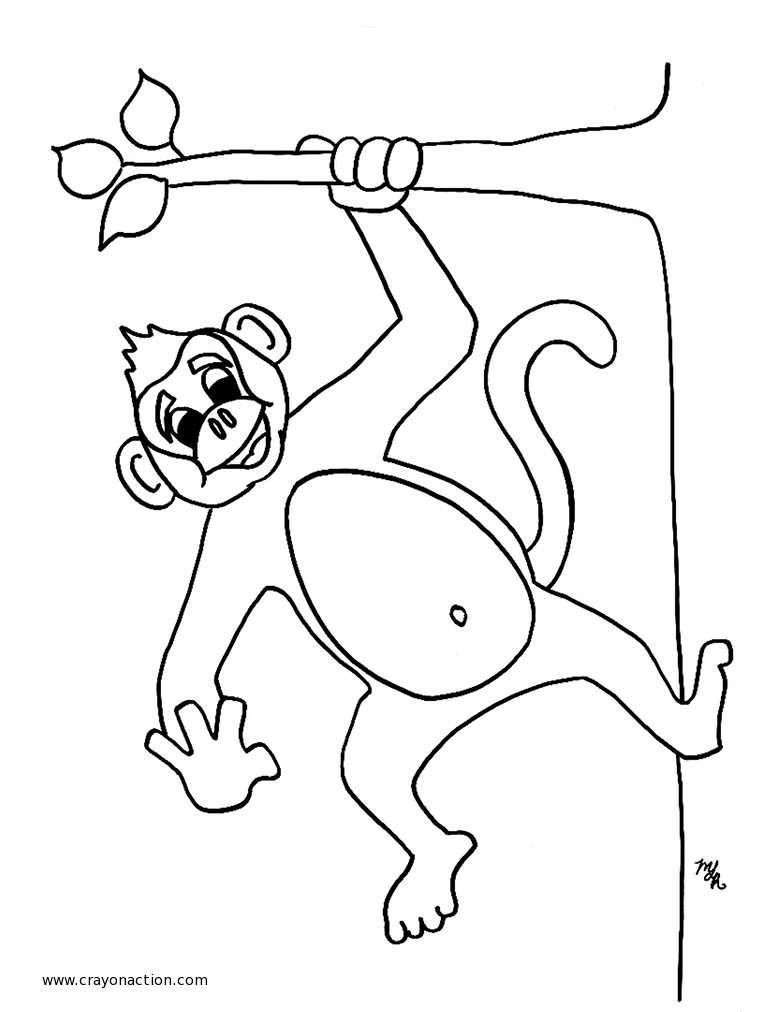 Drawing Monkey #14155 (Animals) – Printable coloring pages