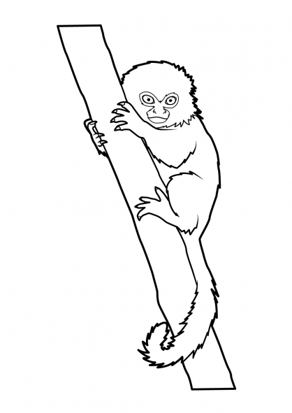Coloring page: Monkey (Animals) #14168 - Free Printable Coloring Pages