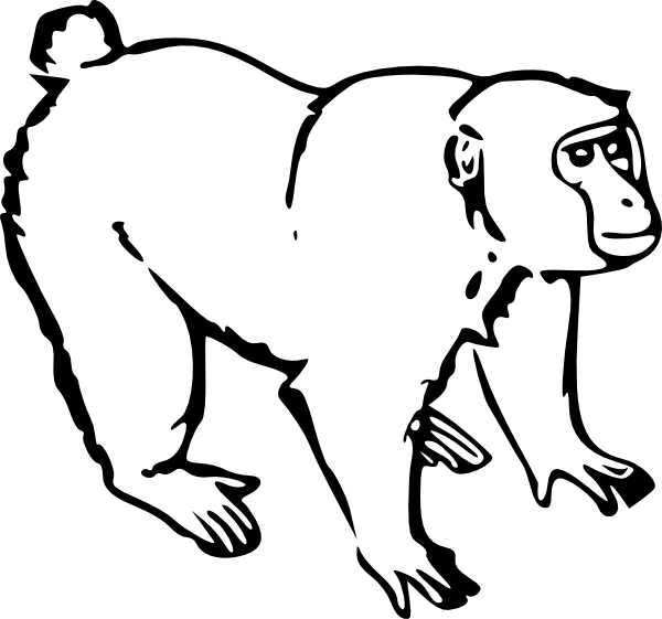 Coloring page: Monkey (Animals) #14173 - Free Printable Coloring Pages