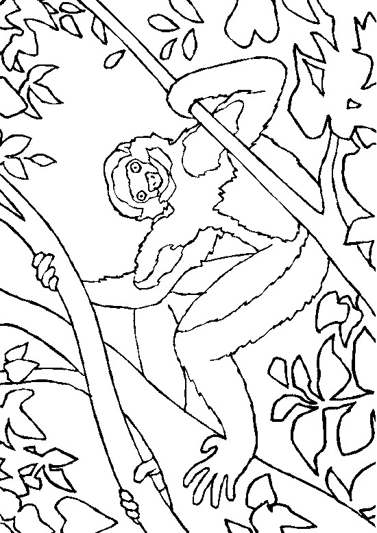 Coloring page: Monkey (Animals) #14185 - Free Printable Coloring Pages