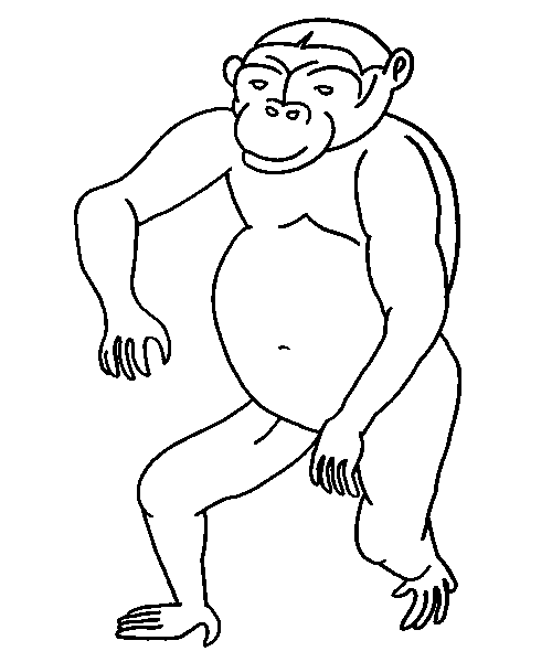 Coloring page: Monkey (Animals) #14187 - Free Printable Coloring Pages