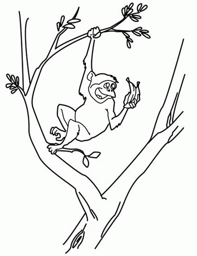 Coloring page: Monkey (Animals) #14230 - Free Printable Coloring Pages