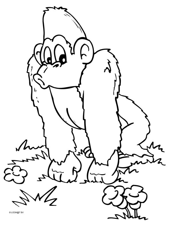 Coloring page: Monkey (Animals) #14242 - Free Printable Coloring Pages