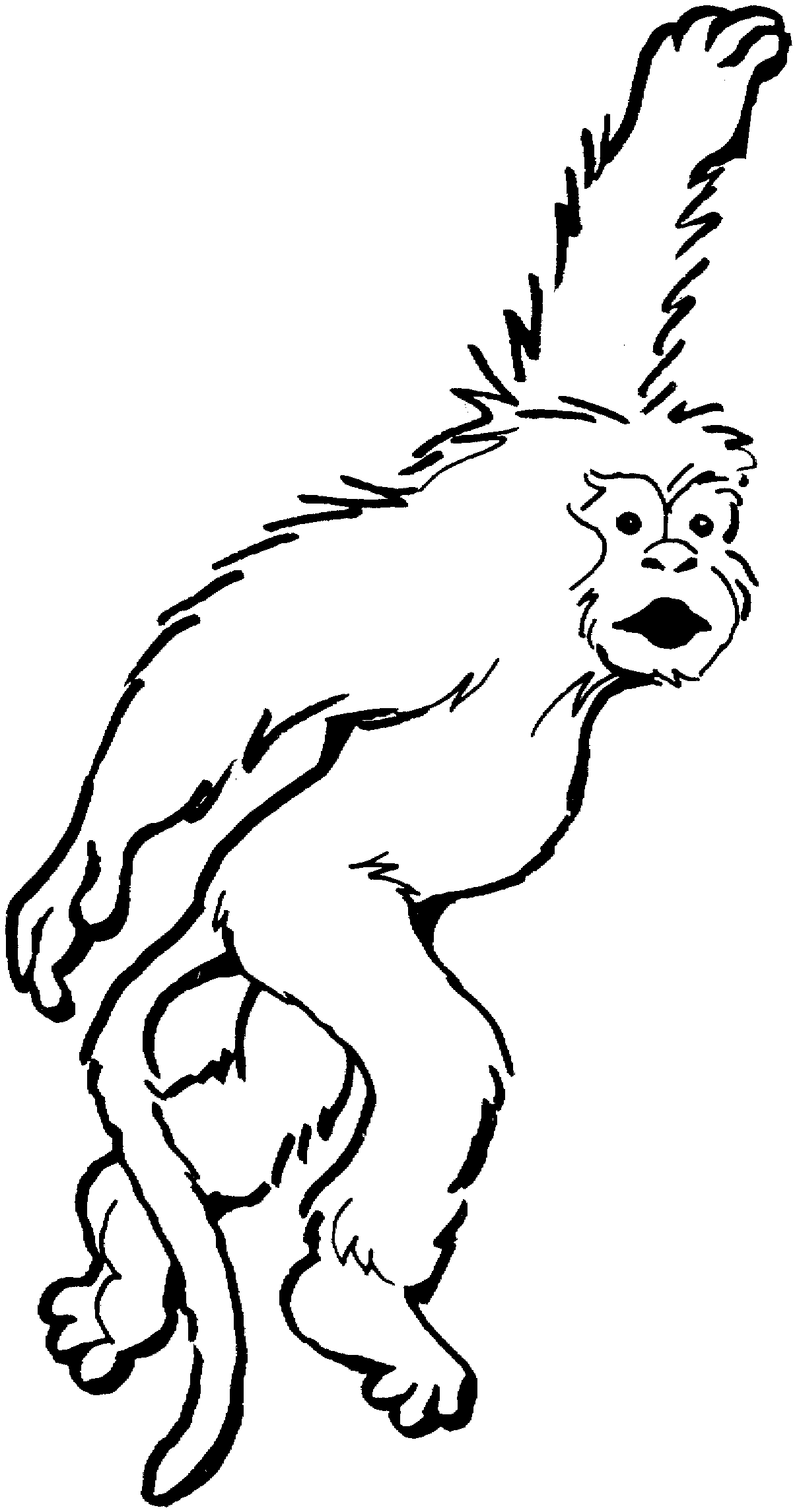 Coloring page: Monkey (Animals) #14243 - Free Printable Coloring Pages