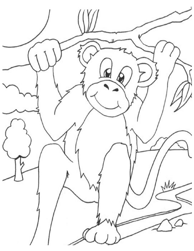 Coloring page: Monkey (Animals) #14252 - Free Printable Coloring Pages