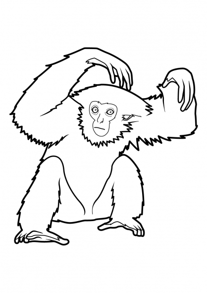 Coloring page: Monkey (Animals) #14261 - Free Printable Coloring Pages