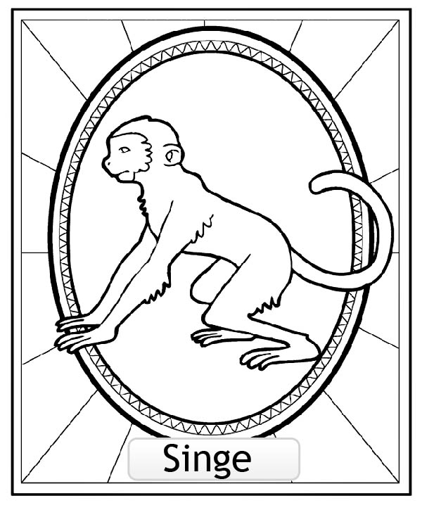 Coloring page: Monkey (Animals) #14318 - Free Printable Coloring Pages