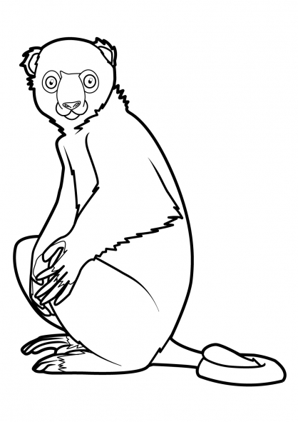 Coloring page: Monkey (Animals) #14321 - Free Printable Coloring Pages