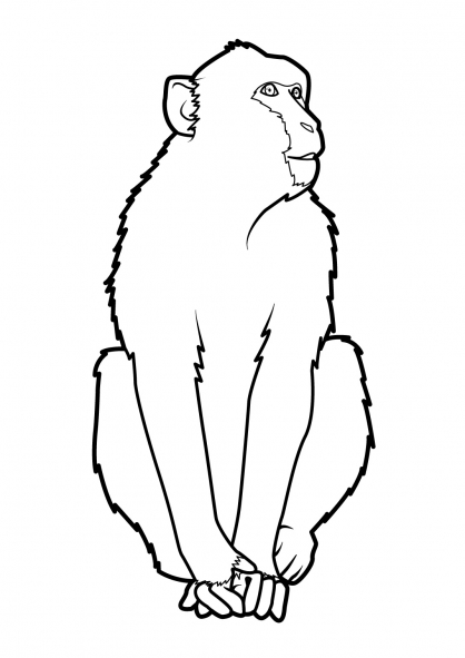 Coloring page: Monkey (Animals) #14323 - Free Printable Coloring Pages