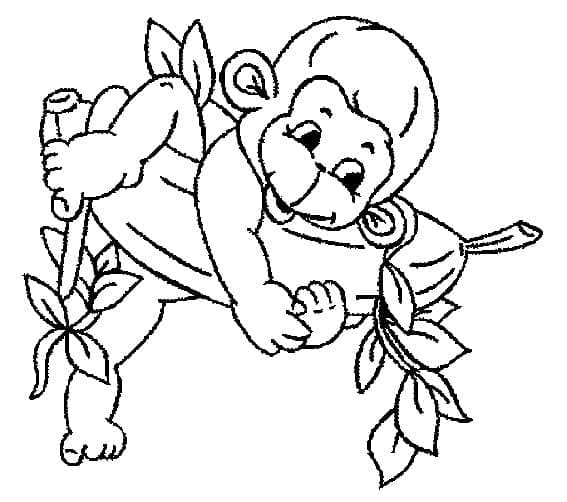 Free printable Monkey coloring page #175053 from Animals collection