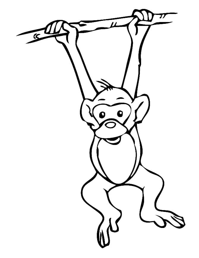 Free printable Monkey coloring page #216789 from Animals collection