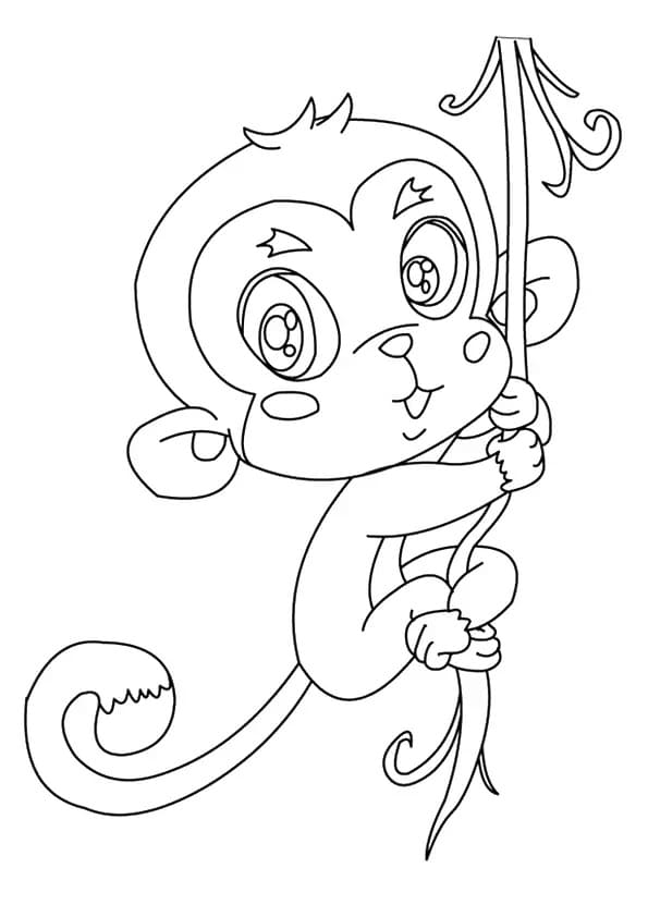 Free printable Monkey coloring page #216796 from Animals collection