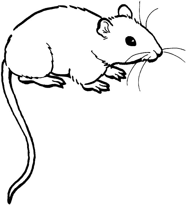 Drawing Mouse #13941 (Animals) – Printable coloring pages