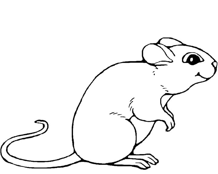 Drawing Mouse #13947 (Animals) – Printable coloring pages