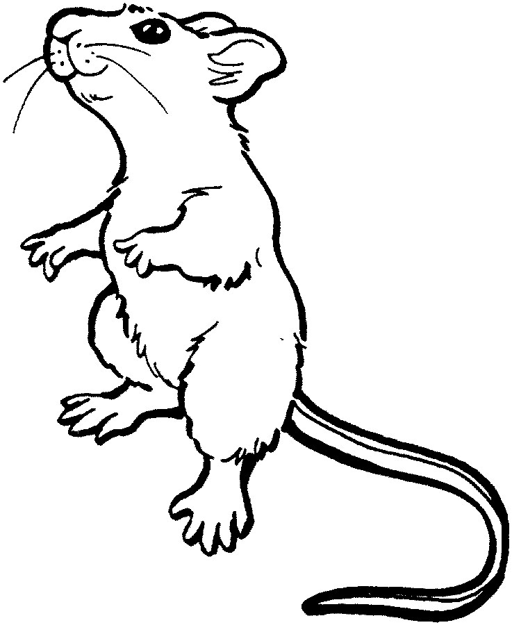 Coloring page: Mouse (Animals) #13953 - Free Printable Coloring Pages