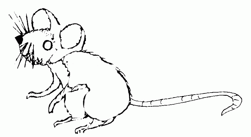 Coloring page: Mouse (Animals) #13974 - Free Printable Coloring Pages