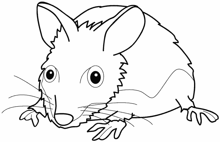 Coloring page: Mouse (Animals) #14130 - Free Printable Coloring Pages