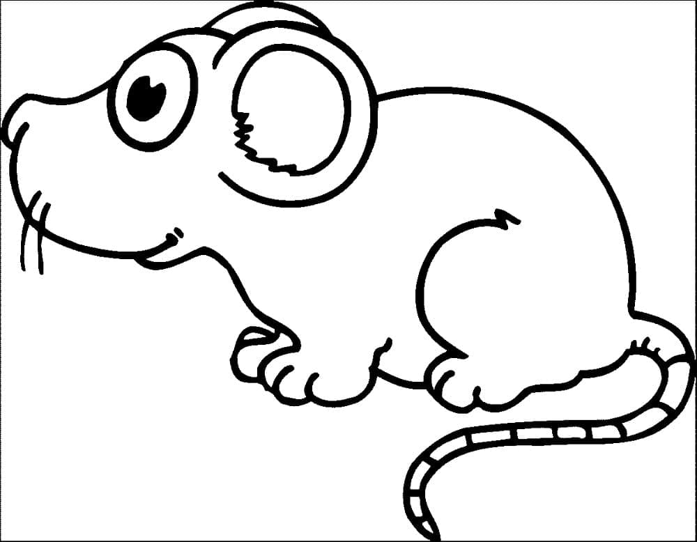 Free printable Mouse coloring page #189515 from Animals collection Free printable Mouse coloring page #189515 from Animals collection