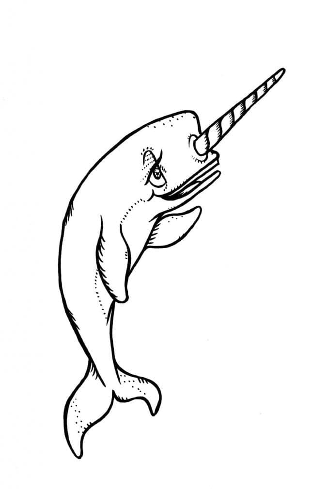 Free printable Narwhal coloring page #186666 from Animals collection