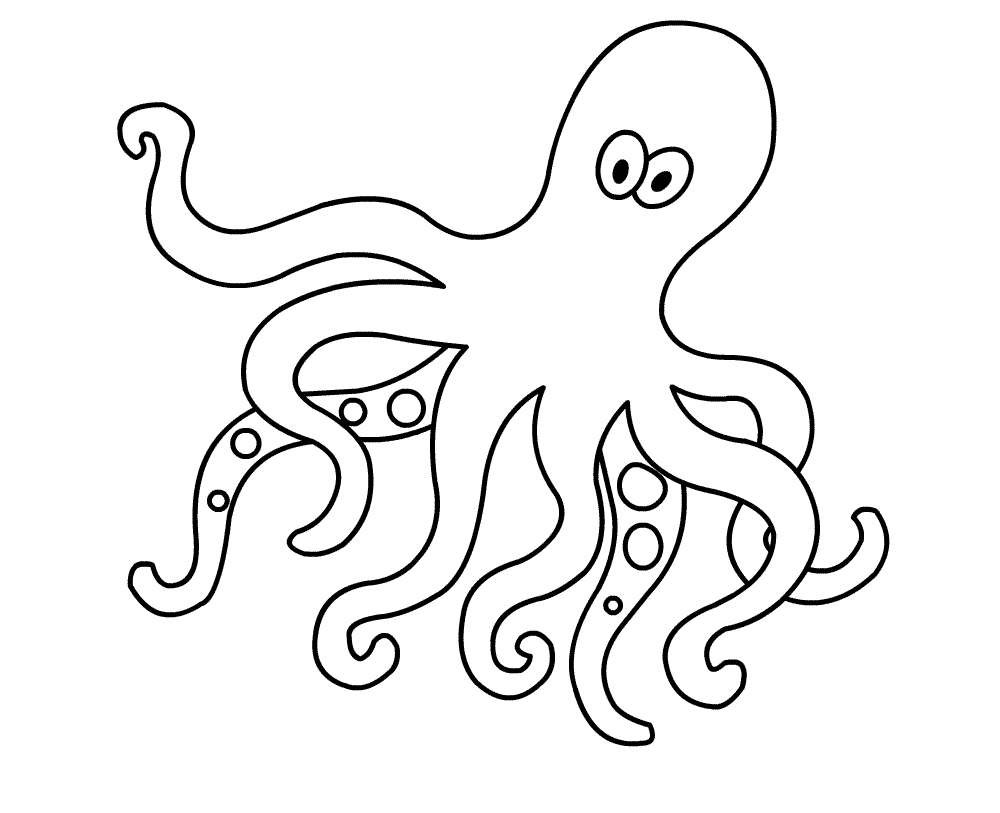 Drawings Octopus (Animals) – Printable coloring pages