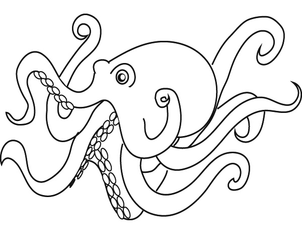 Coloring page: Octopus (Animals) #18913 - Free Printable Coloring Pages