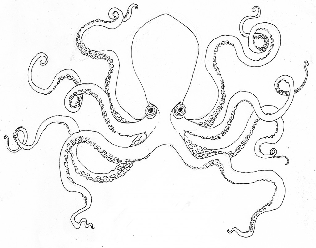 Coloring page: Octopus (Animals) #18918 - Free Printable Coloring Pages