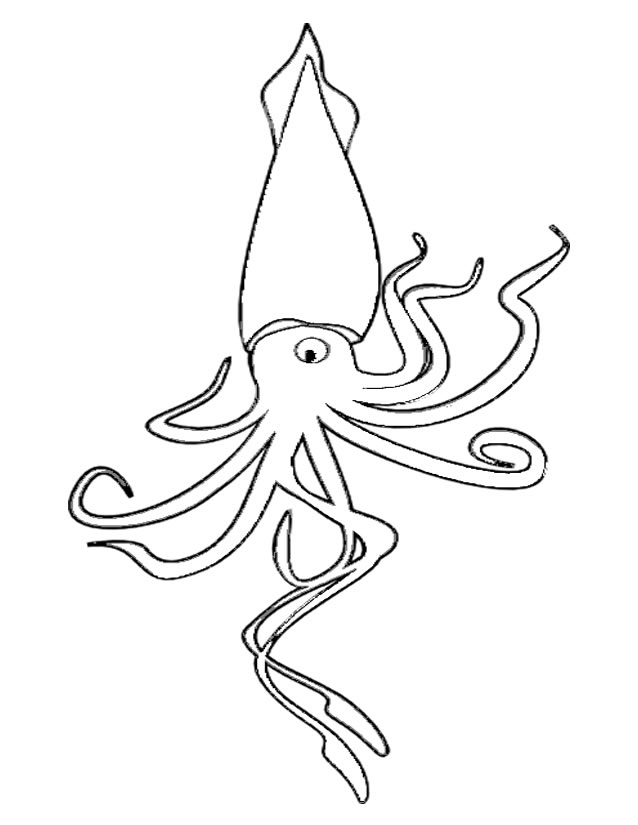 Coloring page: Octopus (Animals) #18926 - Free Printable Coloring Pages