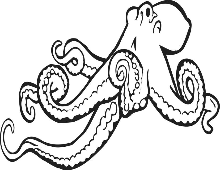 Coloring page: Octopus (Animals) #18966 - Free Printable Coloring Pages