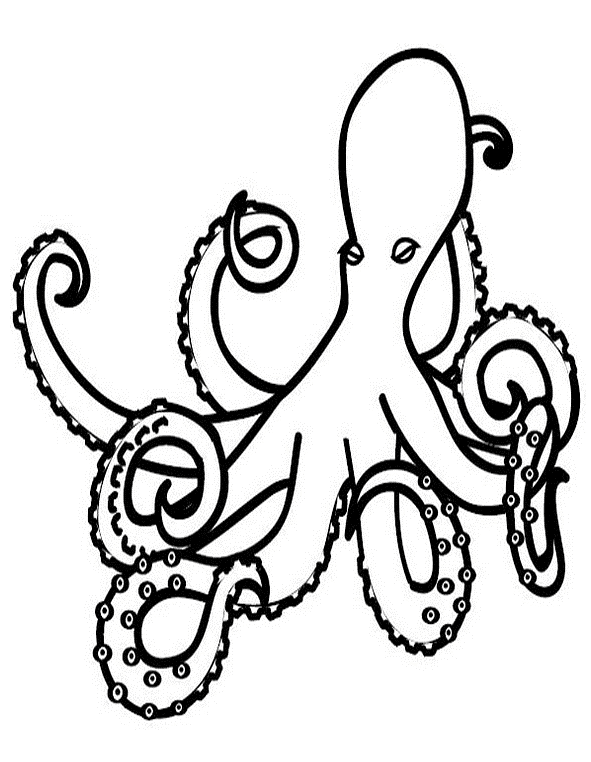 Coloring page: Octopus (Animals) #19011 - Free Printable Coloring Pages