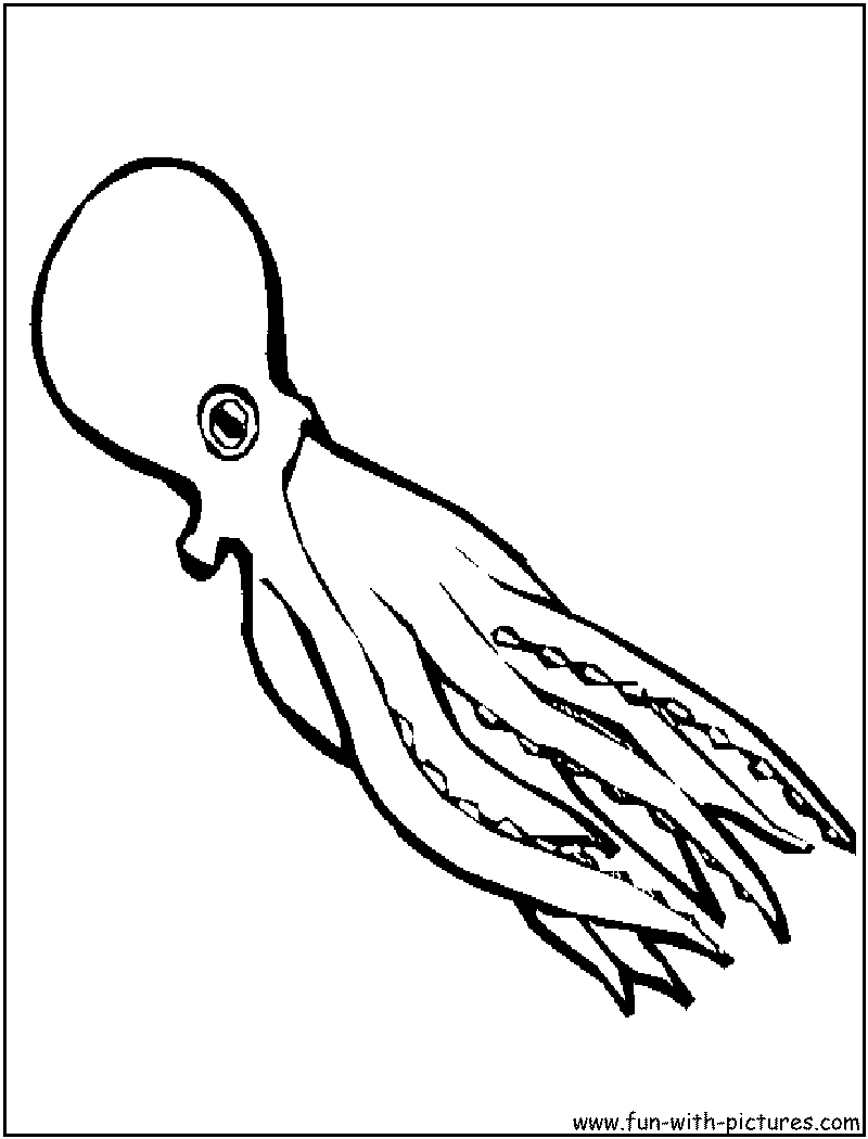 Coloring page: Octopus (Animals) #19031 - Free Printable Coloring Pages