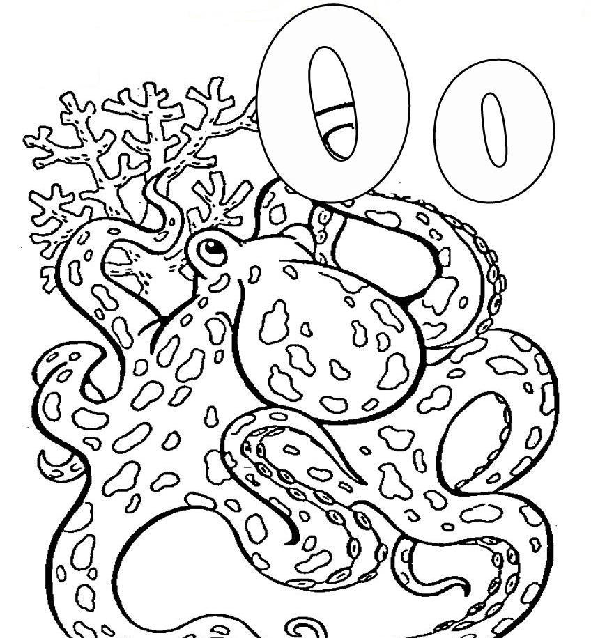 Coloring page: Octopus (Animals) #19035 - Free Printable Coloring Pages