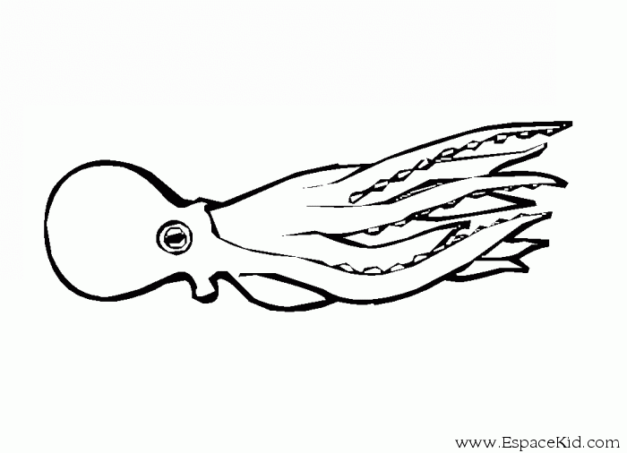 Coloring page: Octopus (Animals) #19065 - Free Printable Coloring Pages