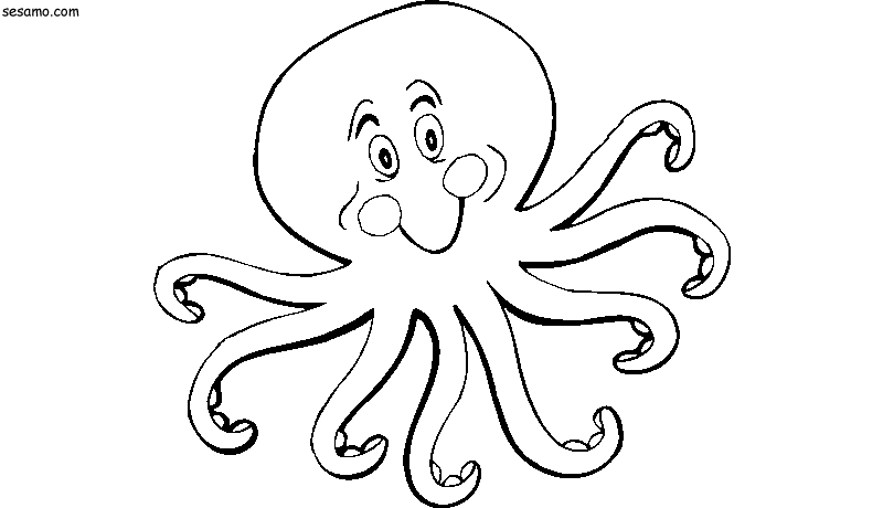 Coloring page: Octopus (Animals) #19076 - Free Printable Coloring Pages