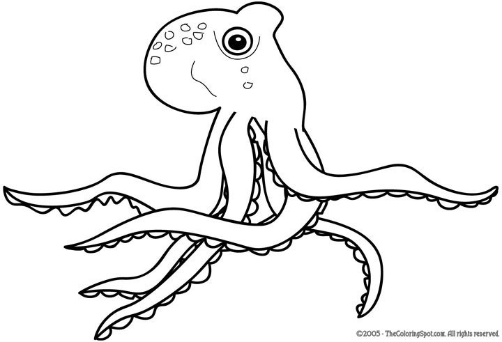 Coloring page: Octopus (Animals) #19095 - Free Printable Coloring Pages