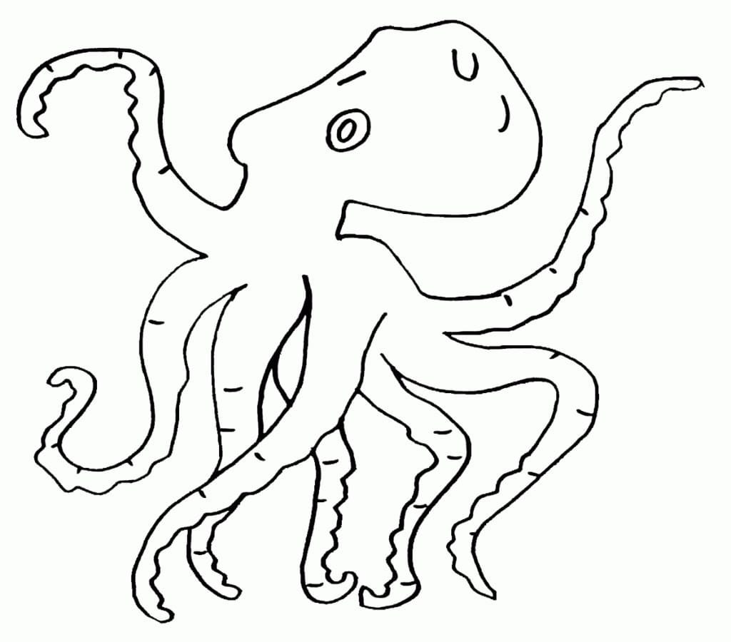 Free printable Octopus coloring page #194428 from Animals collection