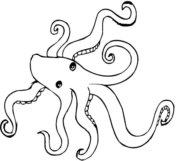 Free printable Octopus coloring page #194429 from Animals collection Free printable Octopus coloring page #194429 from Animals collection