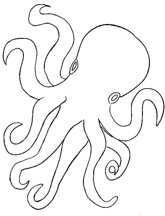Free printable Octopus coloring page #194432 from Animals collection