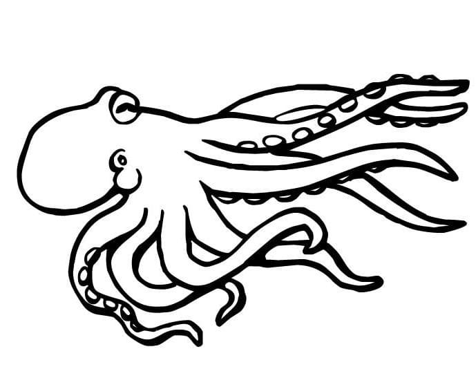 Free printable Octopus coloring page #194441 from Animals collection