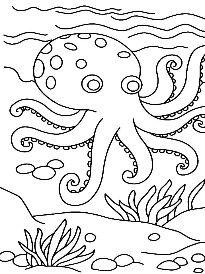 Free printable Octopus coloring page #194461 from Animals collection
