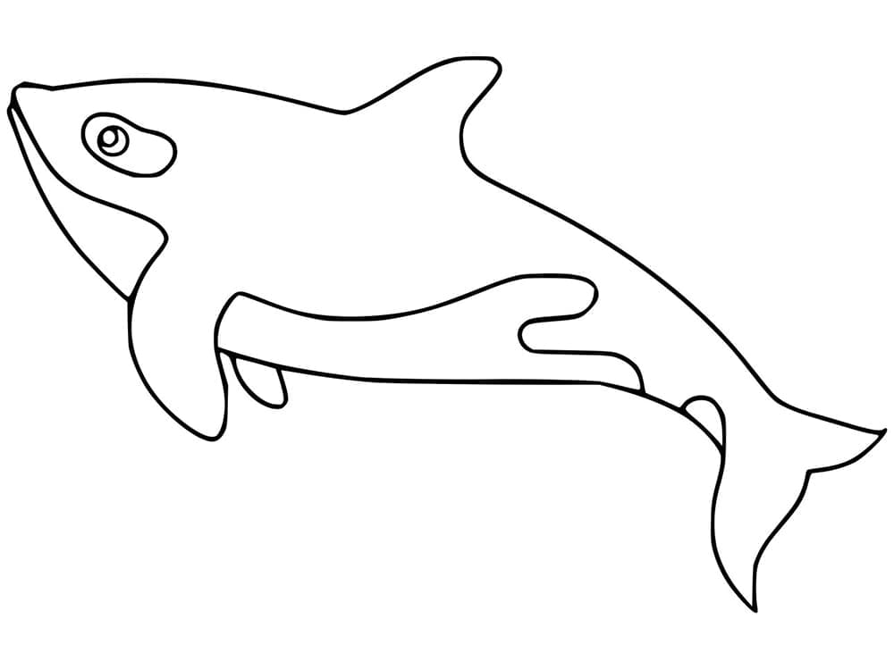Free printable Orca coloring page #213443 from Animals collection
